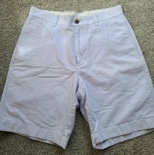 J. Crew Light Blue and White Shorts